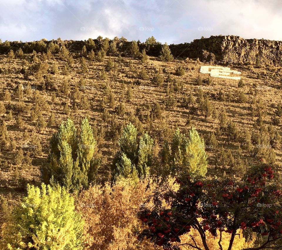 Fall colors enhance trees that are in the foreground of a hill in Prineville, Oregon. 