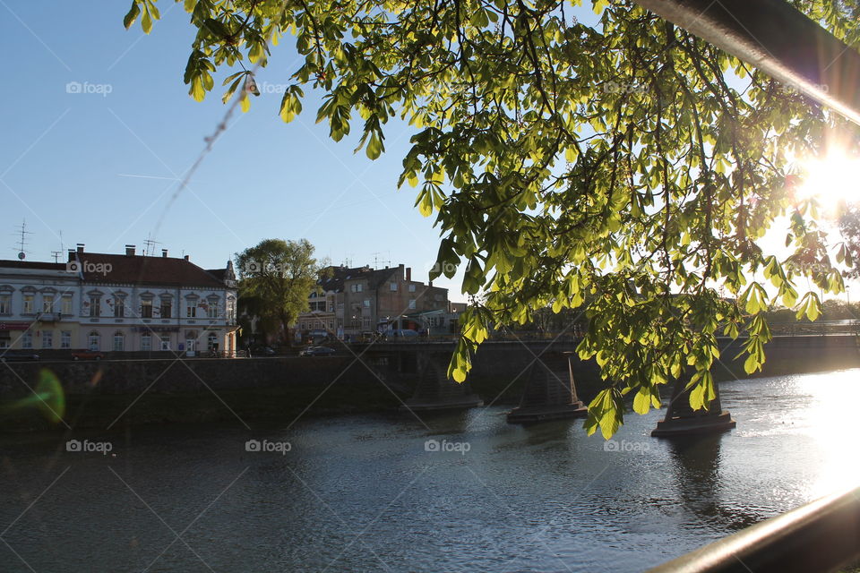 River.nature.brige