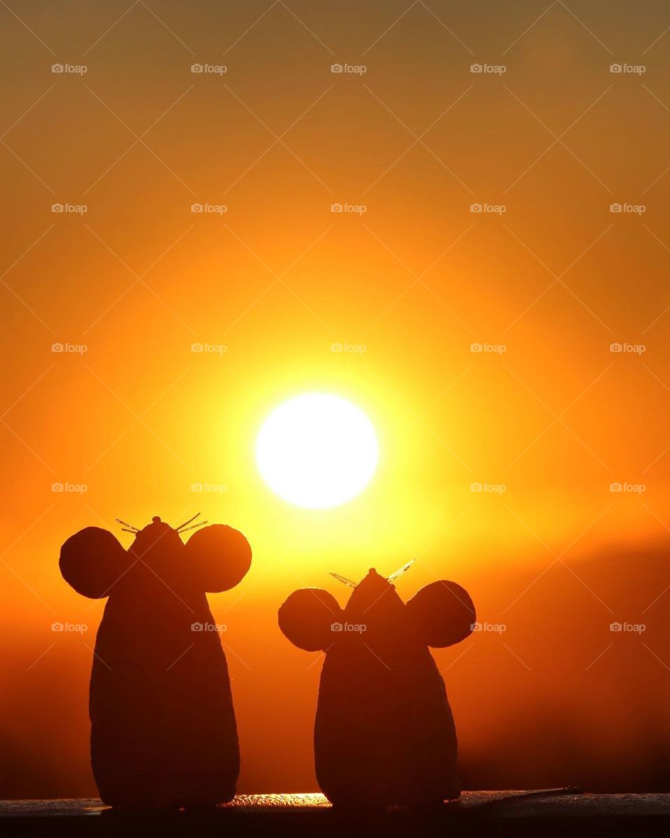 how much do you like this picture?