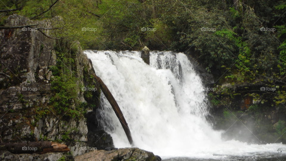Waterfall. Abrams Falls