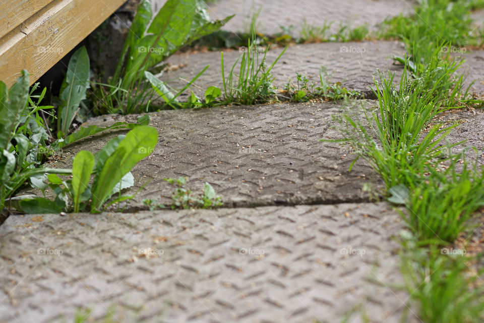 square walkway to the house