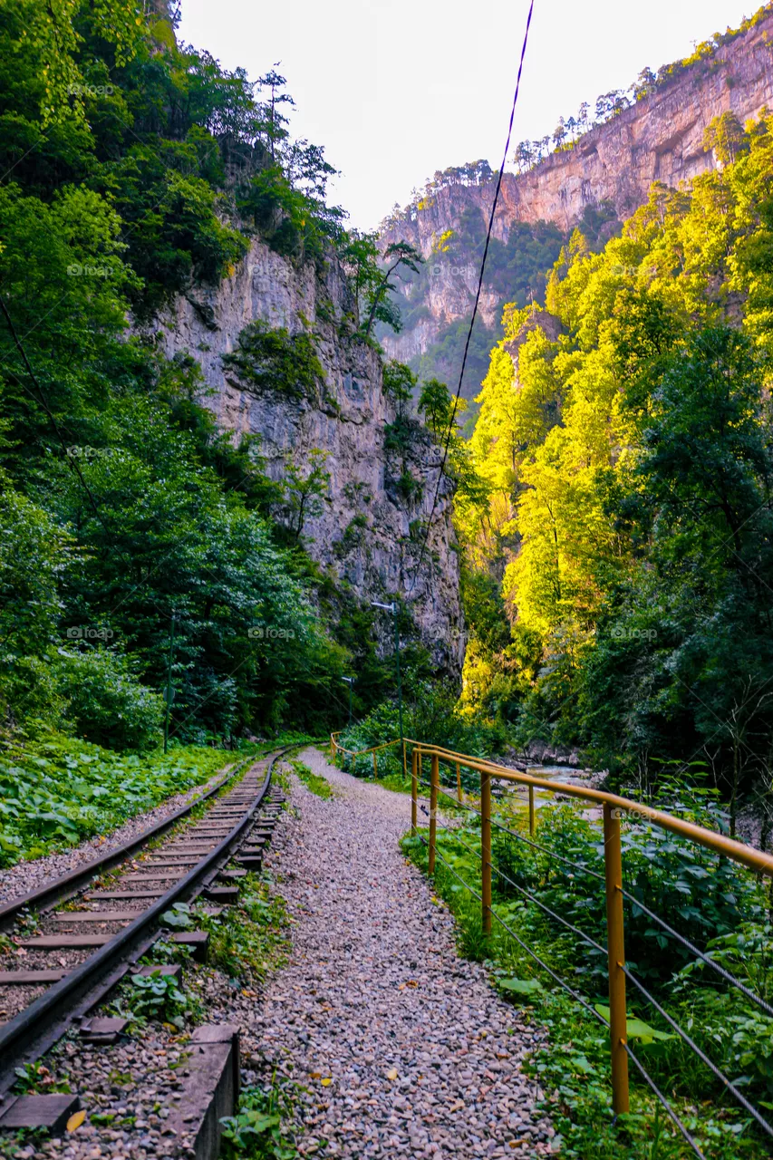 Nature