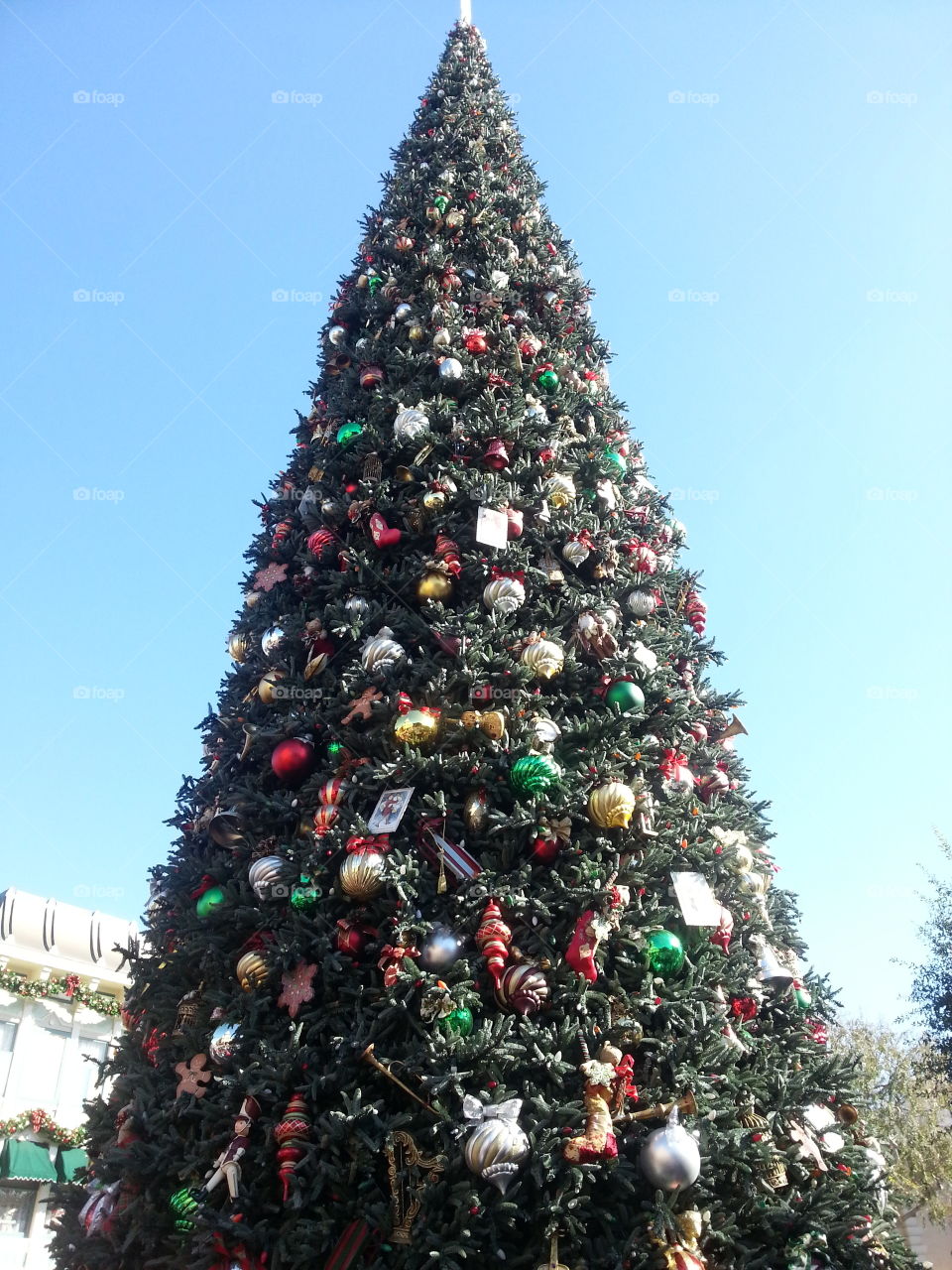 Christmas tree. at disneyland
