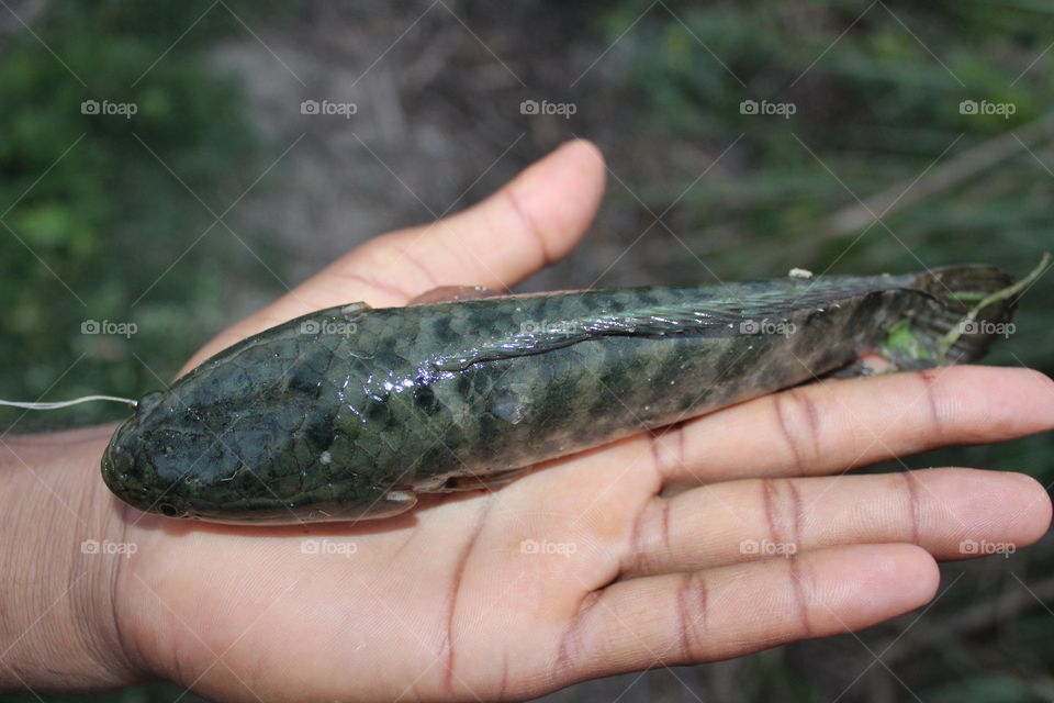 in silent view... for click