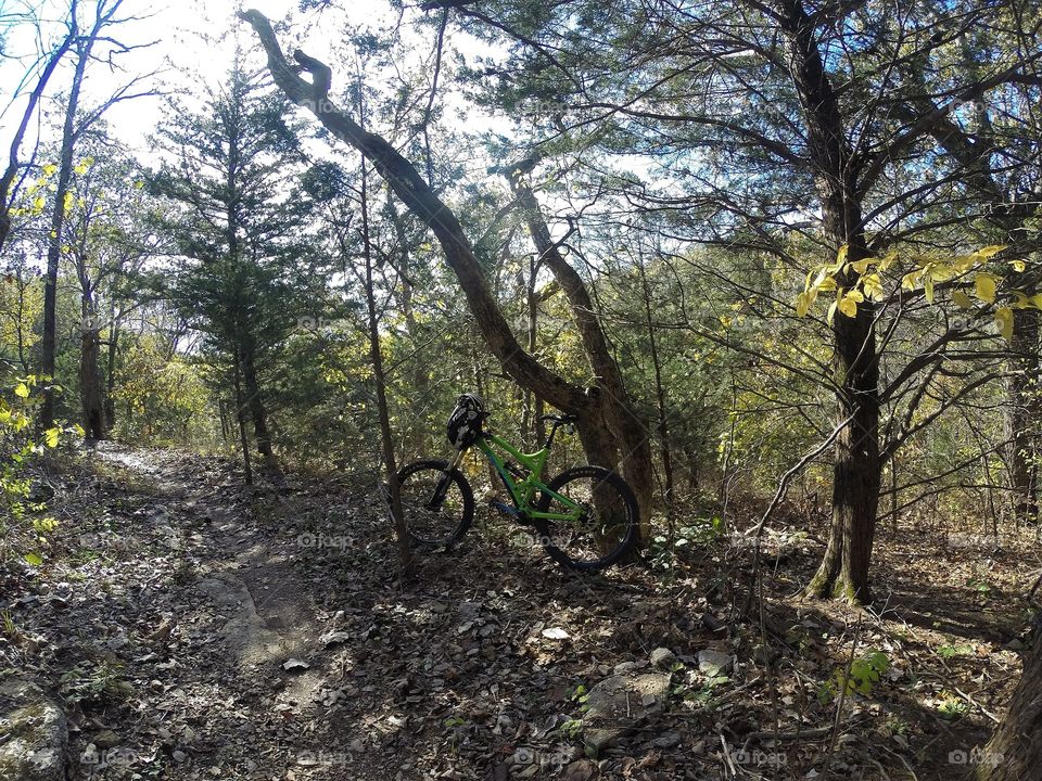 Bike in forest