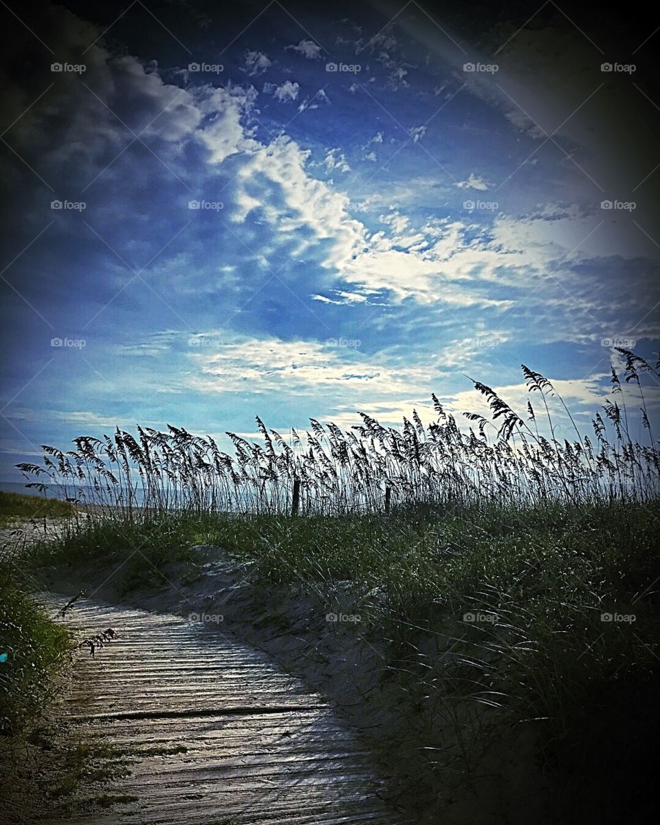 A early morning walk on the boardwalk