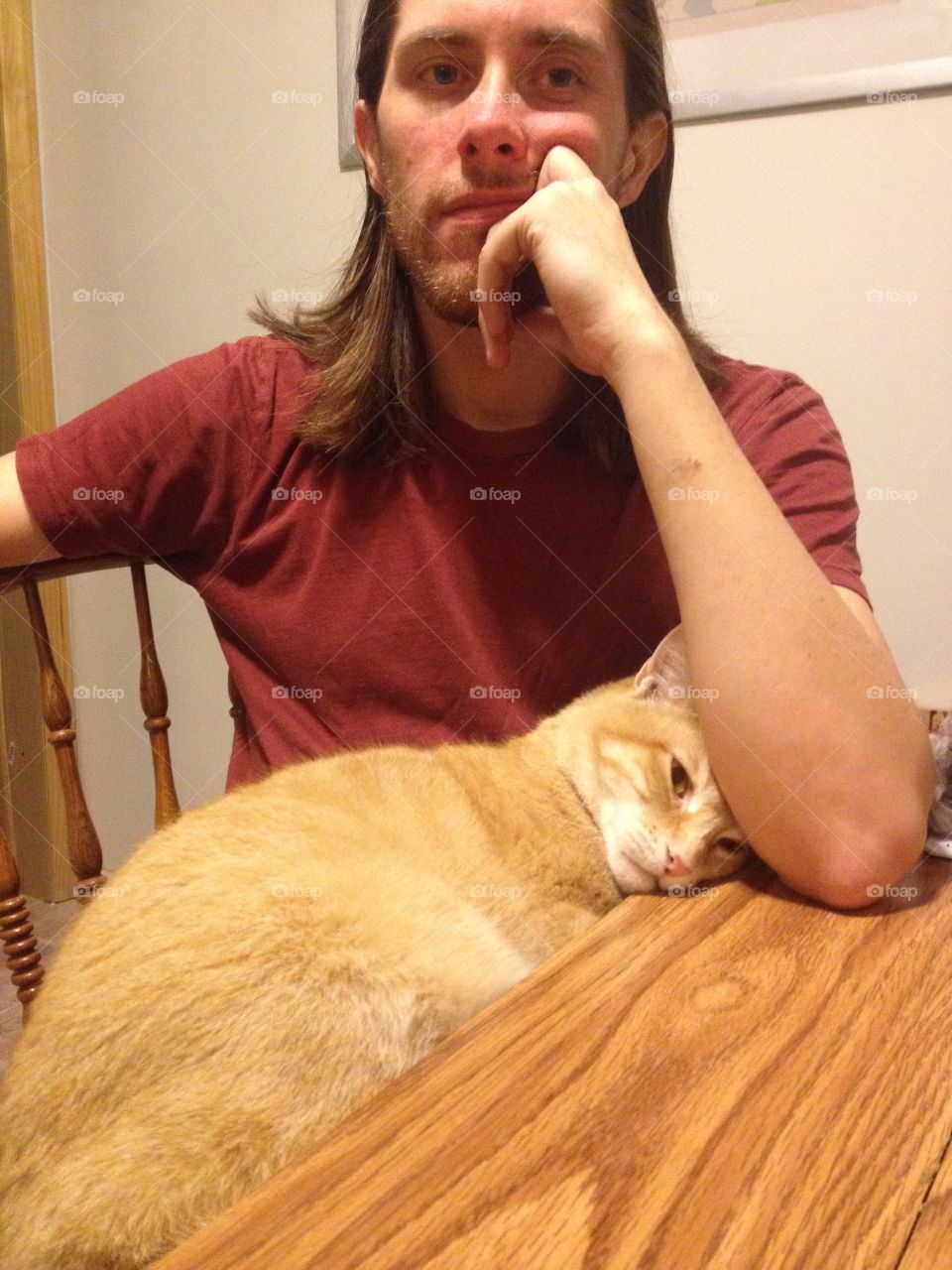 Sad orange cat sitting at the table with a hipster guy.