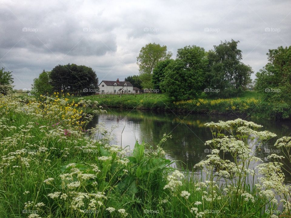 View of stream in rural area