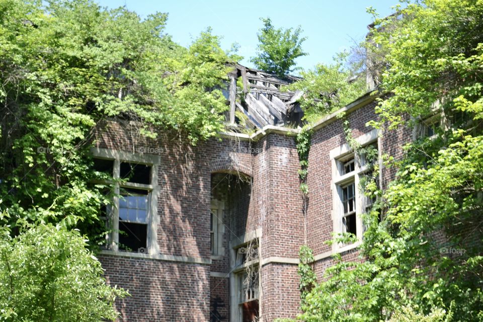 The corner of an old abandoned brick building with a collapsing roof, overgrown vegetation, and broken windows 