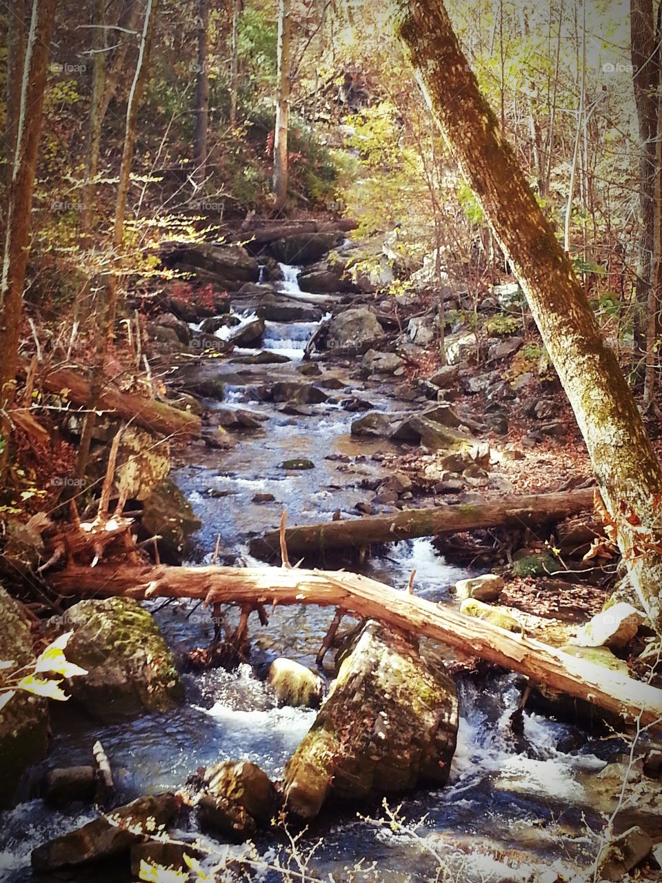 Hiking in southwestern Virginia