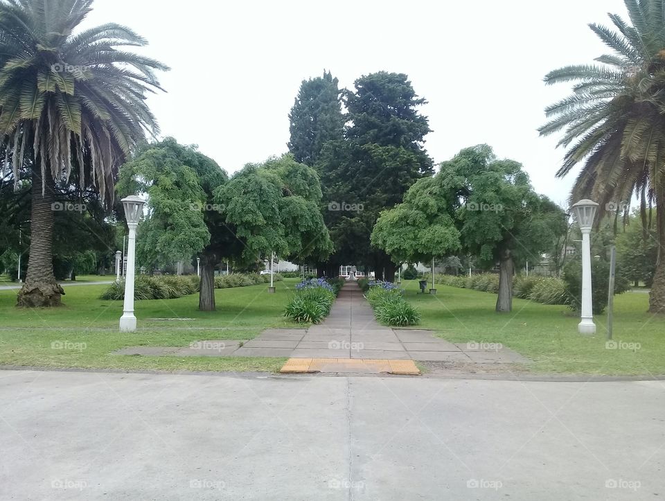 vista de la entrada que conduce al edificio de la Universidad Nacional de Moreno  (Ciudad de Moreno, provincia de Buenos Aires)