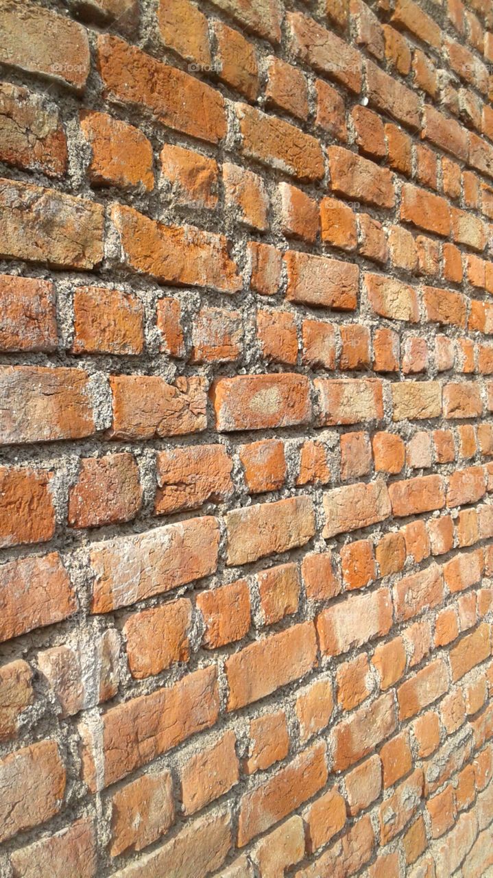 Wall