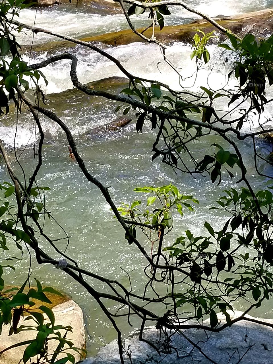 Creekside Rapids