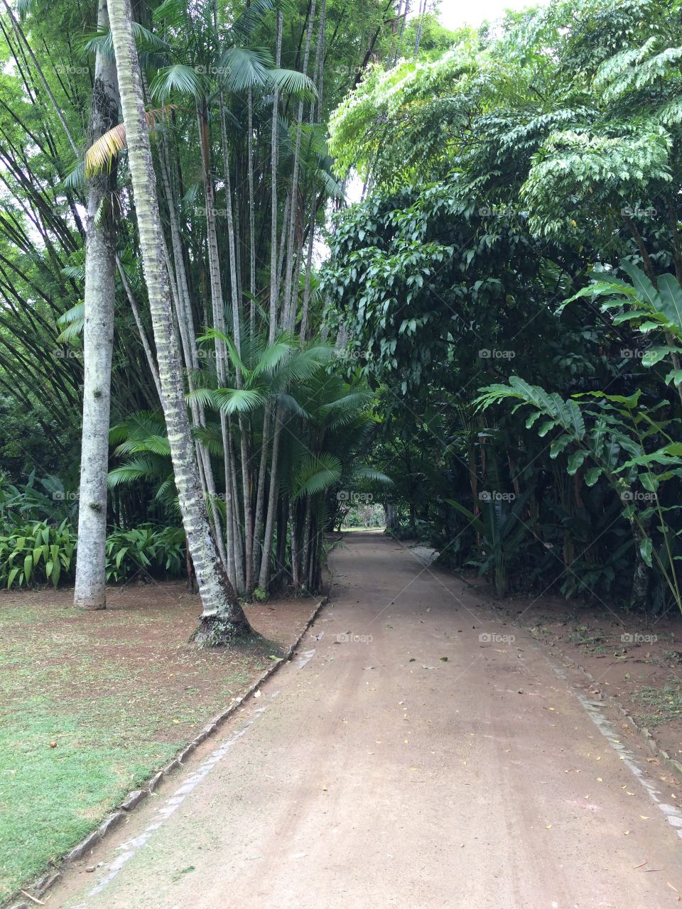 Jardim botânico - Rio