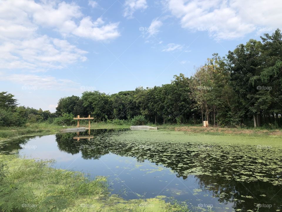 The stories of the nature, Countryside ( Thailand 🇹🇭