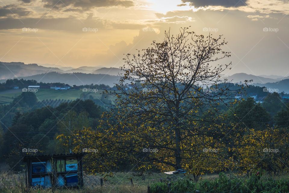 Scenic view on a village in West Serbia