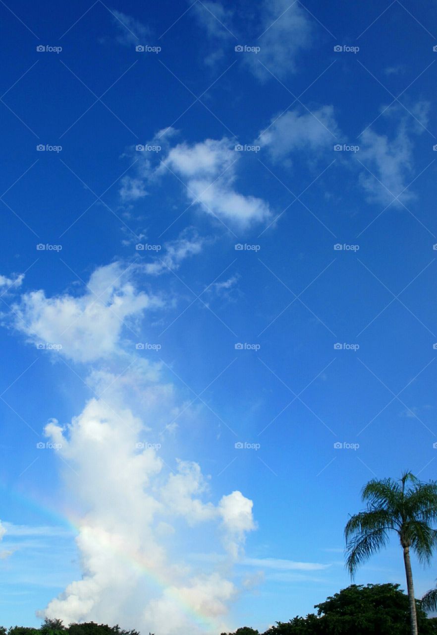 blue skies and rainbow. Rainbow and blue sky