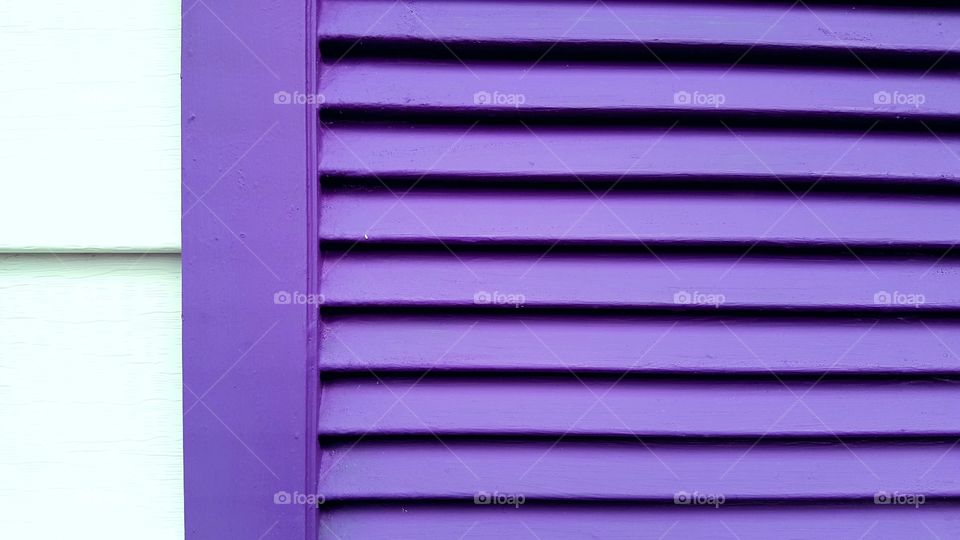 Close-up of purple window