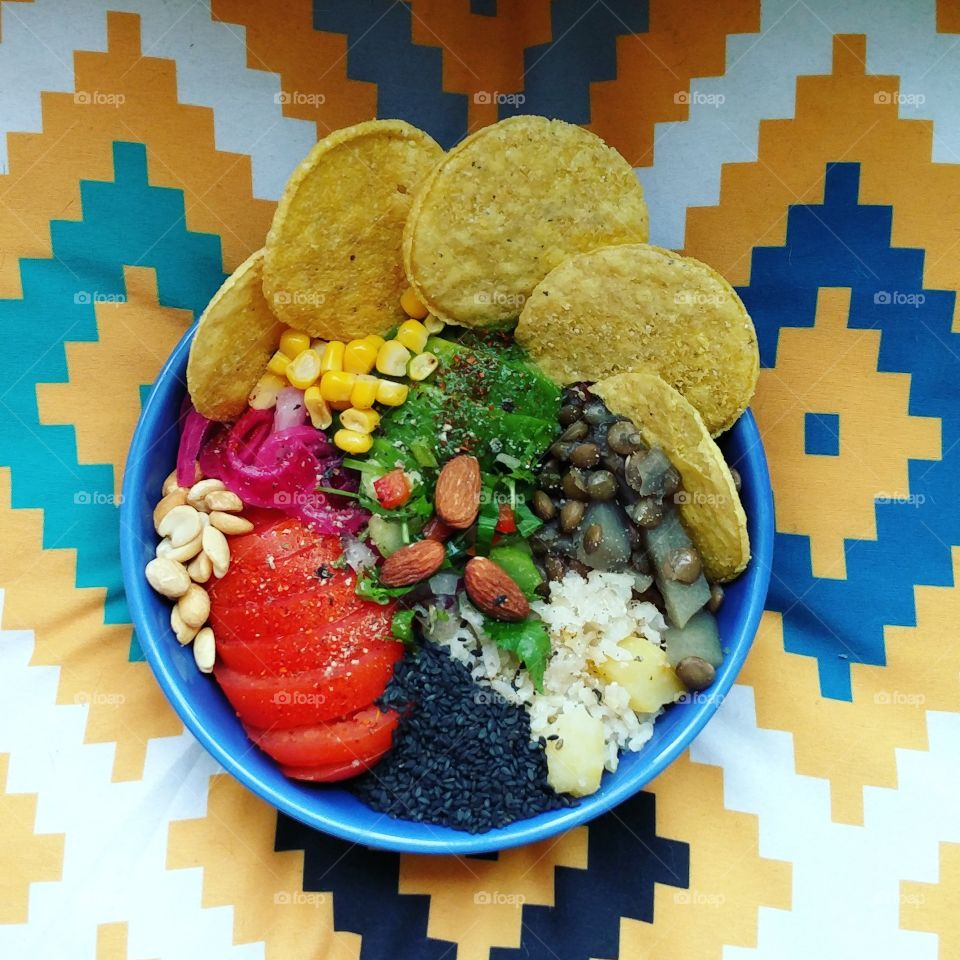 funny colourful vegan lunch