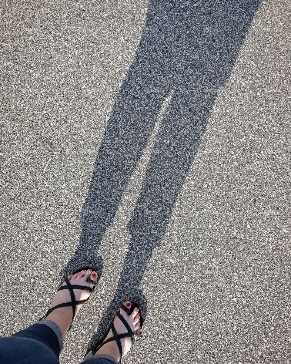 Leggy Shadow