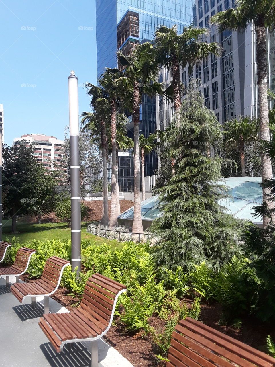 Salesforce Park San Francisco California