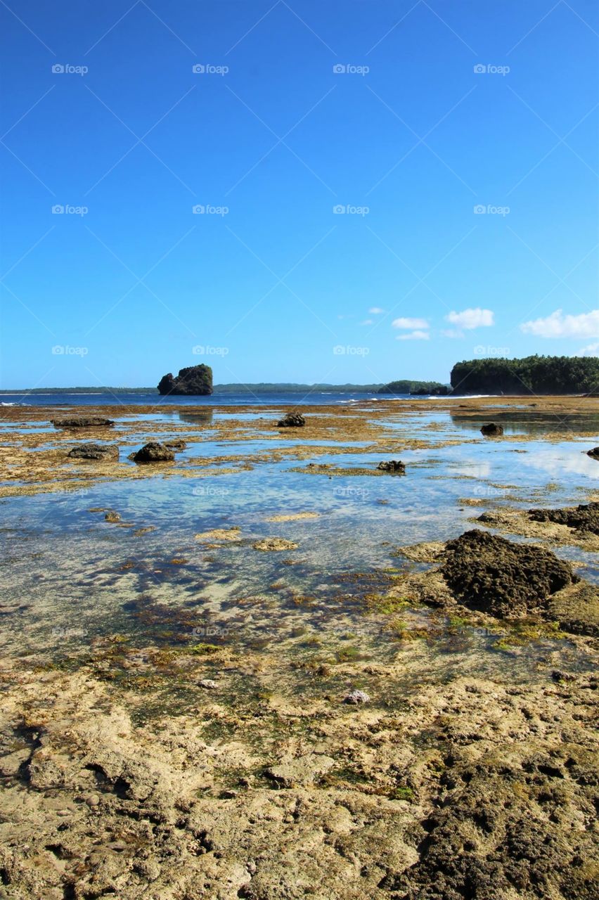 Rocks formation