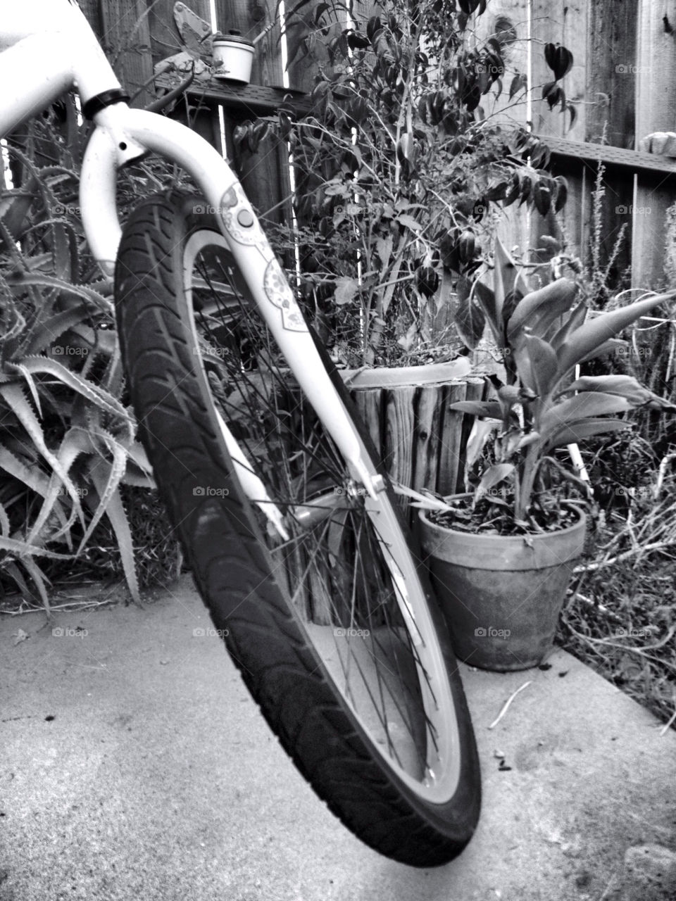 bicycle garden plants bike by analia