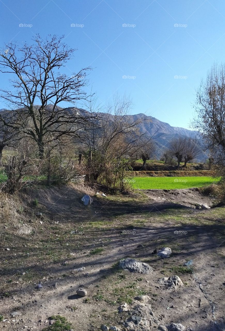 morning time out side