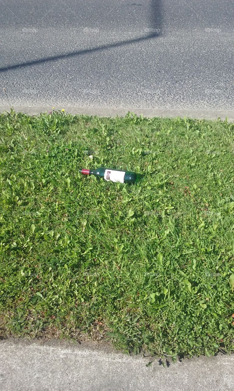 bottle in the grass. bottle