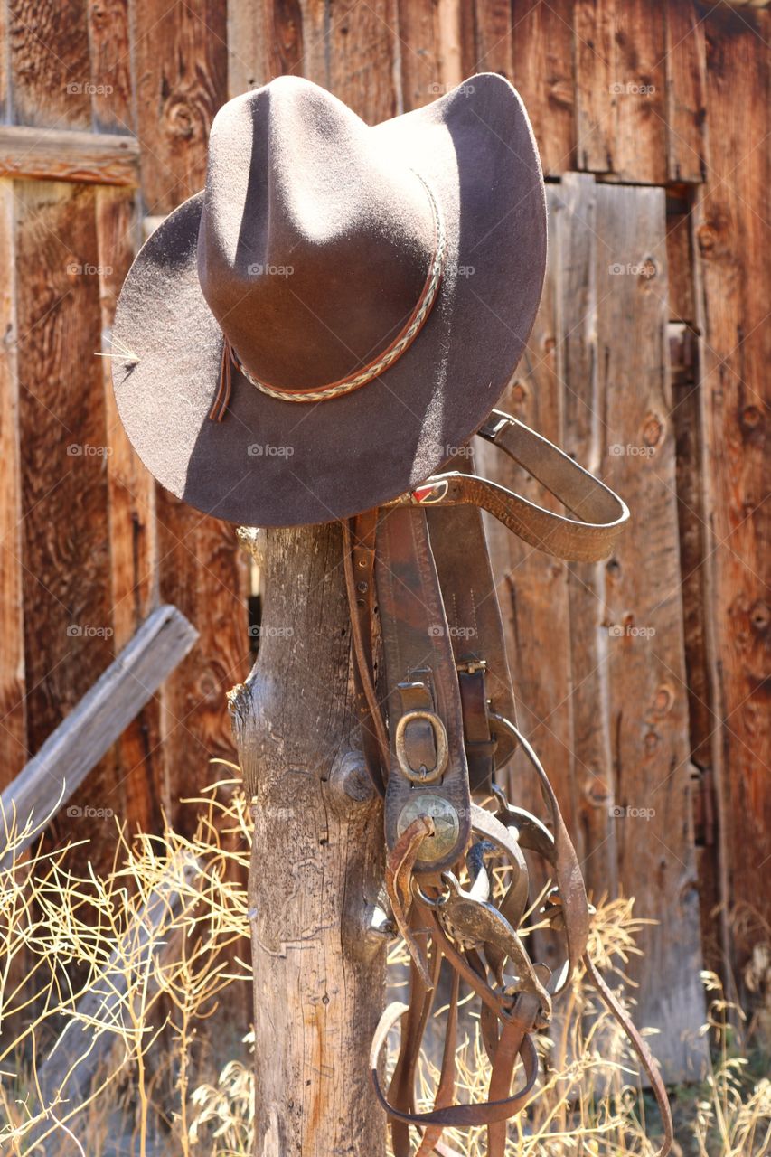 Cowboy Gear