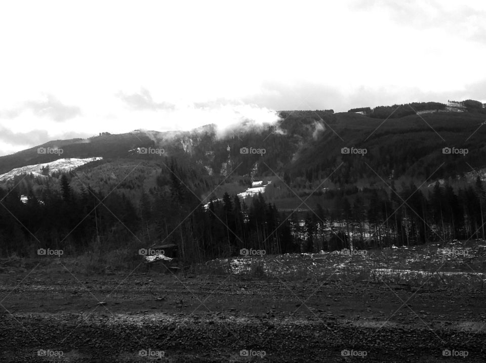 Cowlitz county hills below Mount St Helens, black and white.