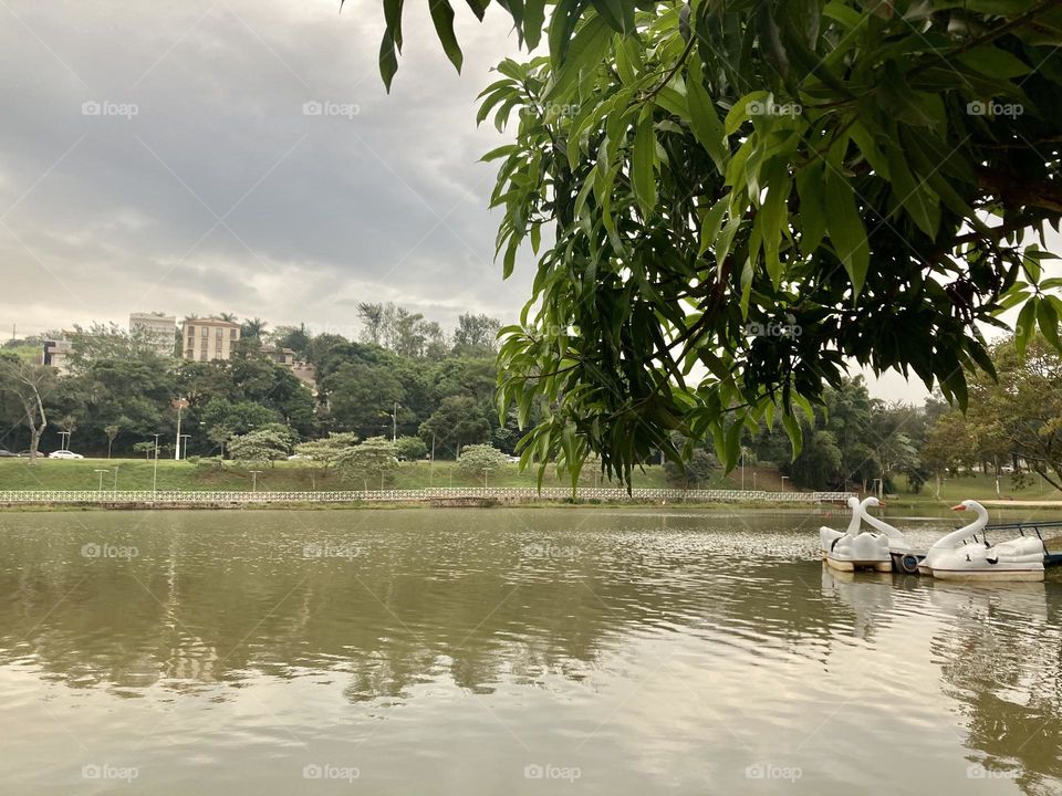 🌄🇺🇸 An extremely beautiful dawn in Itatiba, interior of Brazil. Cheer the nature! / 🇧🇷 Um amanhecer extremamente bonito em Itatiba, interior do Brasil. Viva a natureza! 
