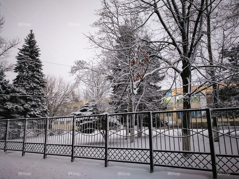 City alley in winter. Snow, fence, trees.