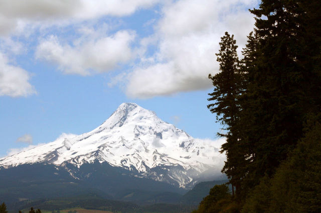 snow mountain tree clouds by mmcook