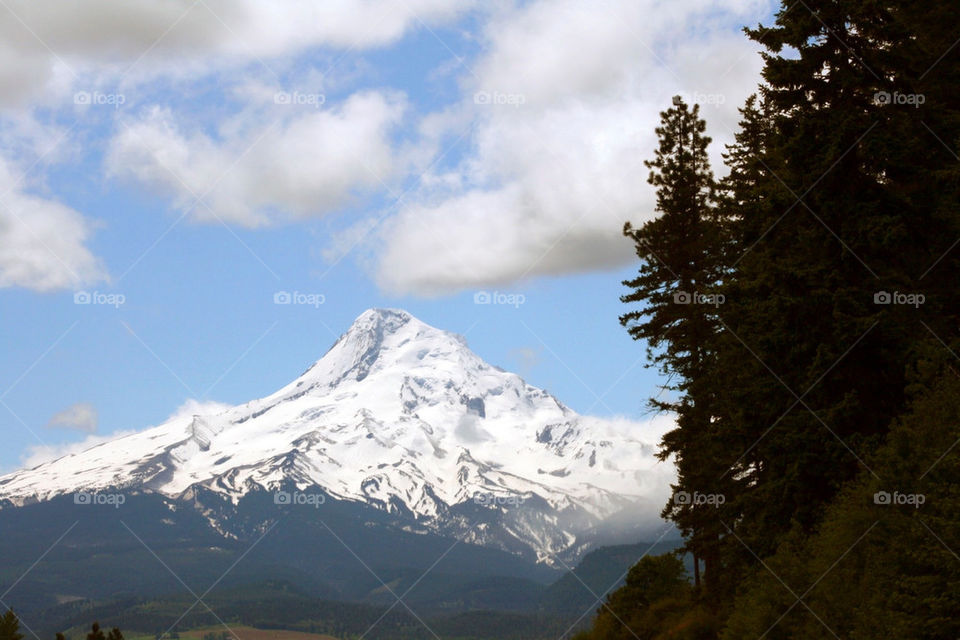 snow mountain tree clouds by mmcook