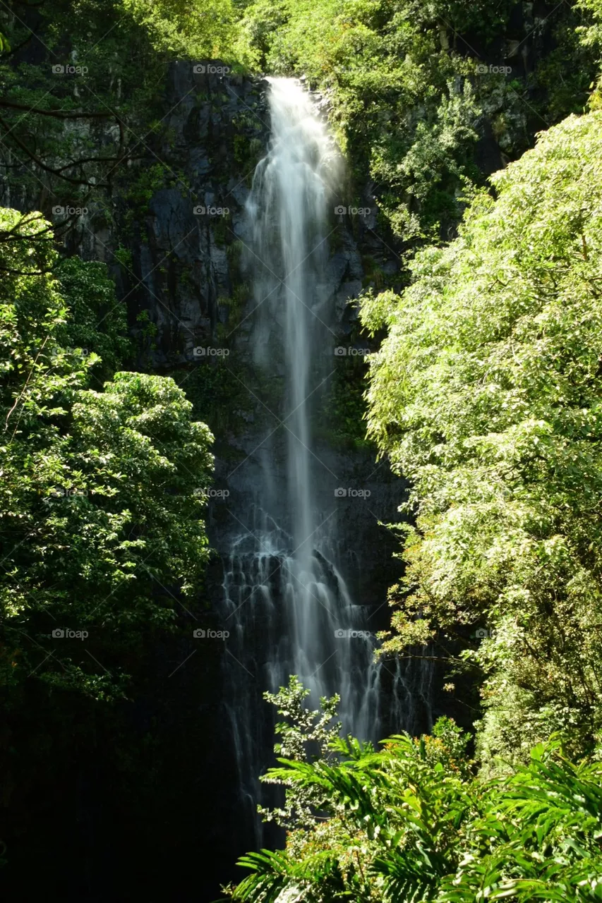 Waterfall