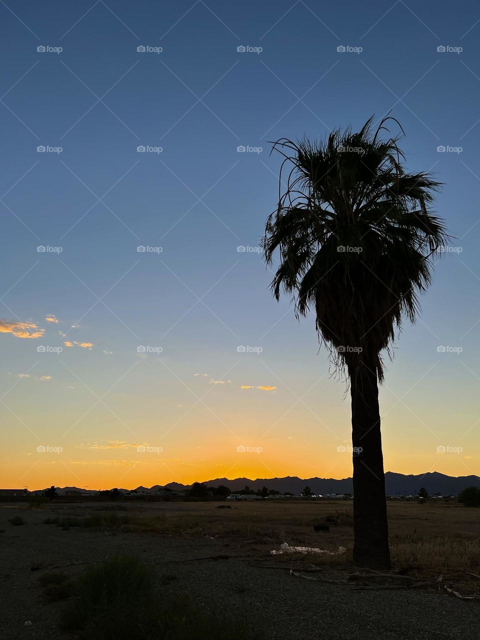 Beautiful sunset in Goodyear Arizona 