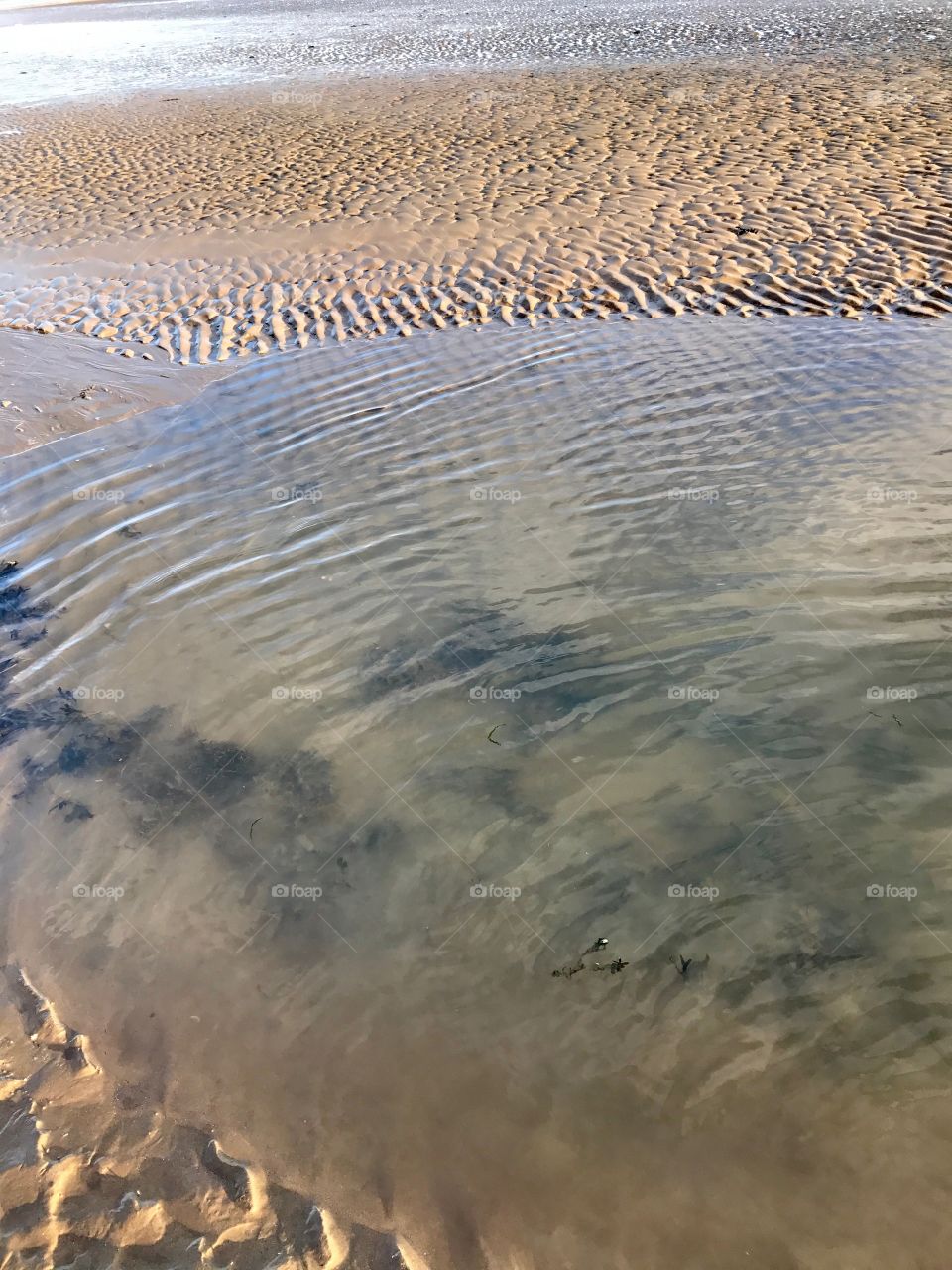 No Person, Water, Sand, Beach, Landscape