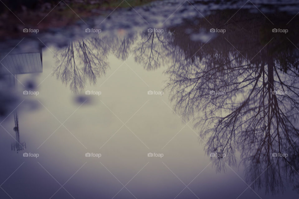 water puddle