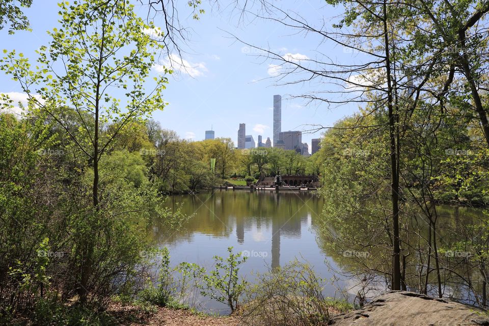 City view behind the lake