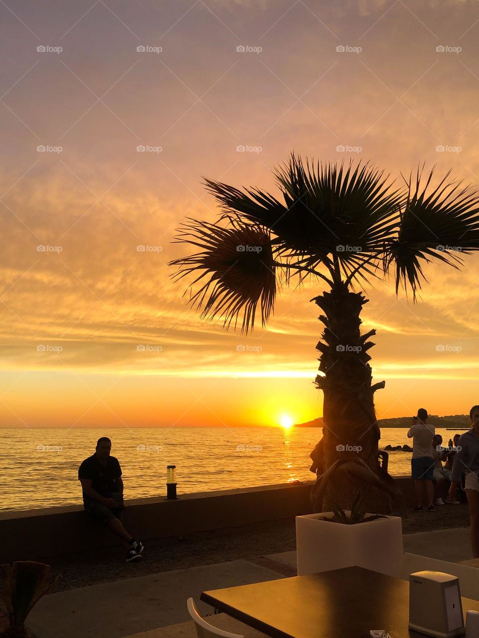 Beautiful sunset photo with palm tree silhouette 
