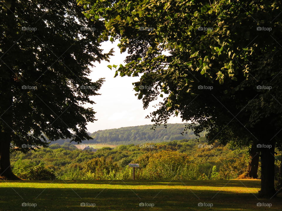 French landscape