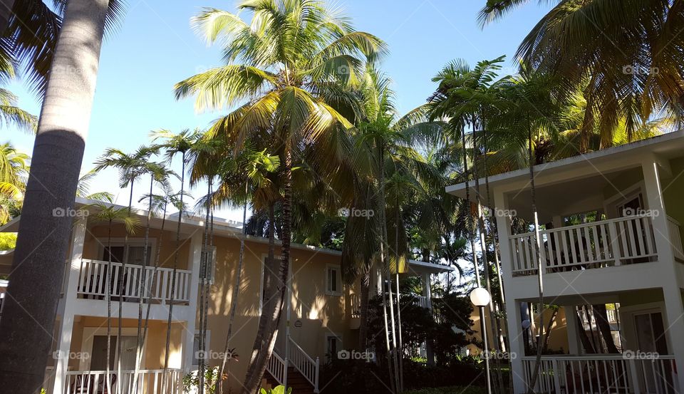 Sunny day in paradise.