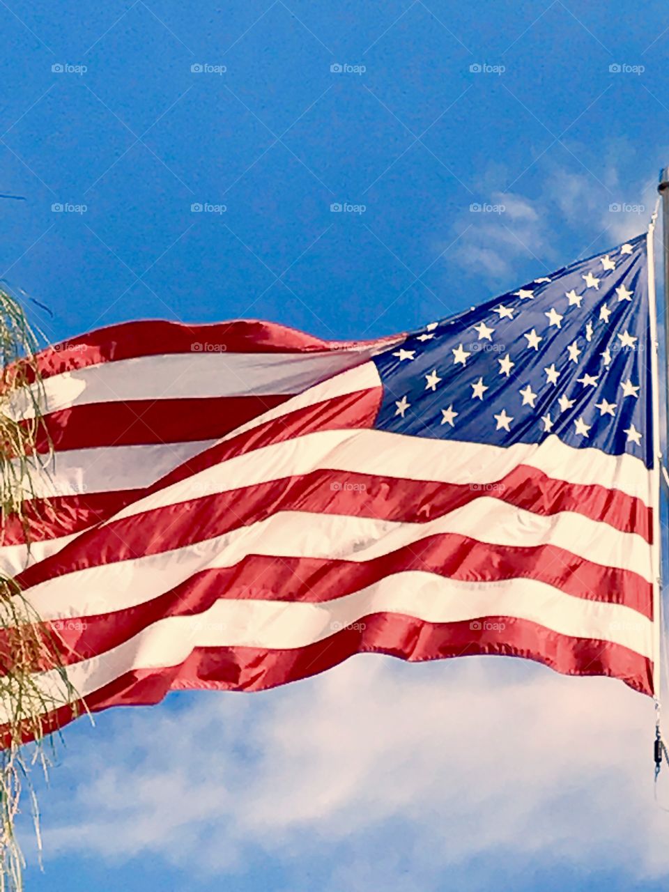 Flag Blowing in Wind