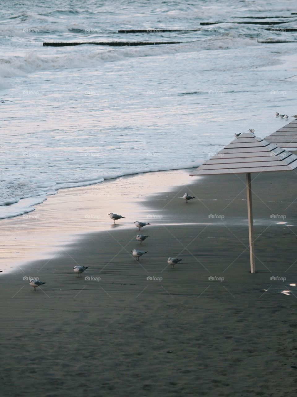 Empty Baltic Sea coast in autumn day