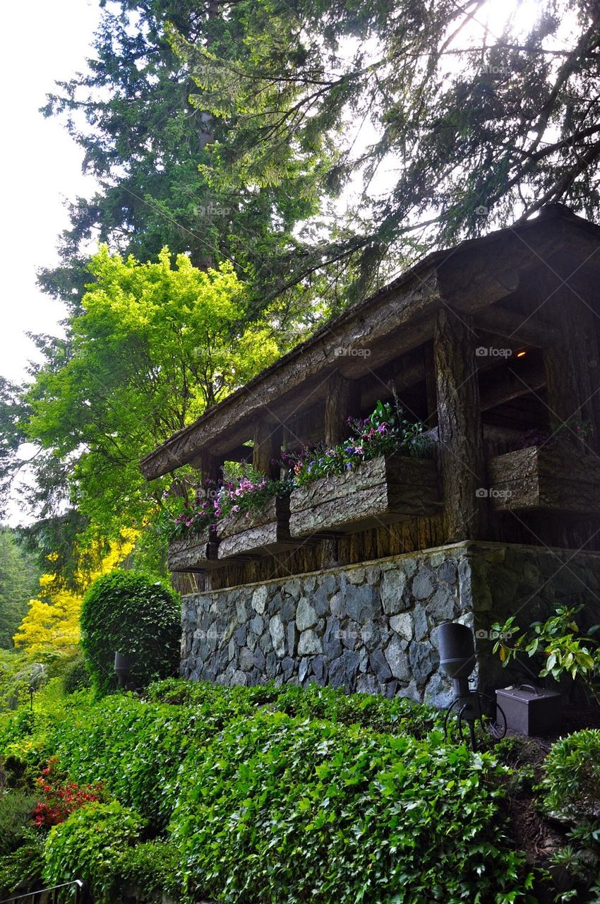 Butchart Garden