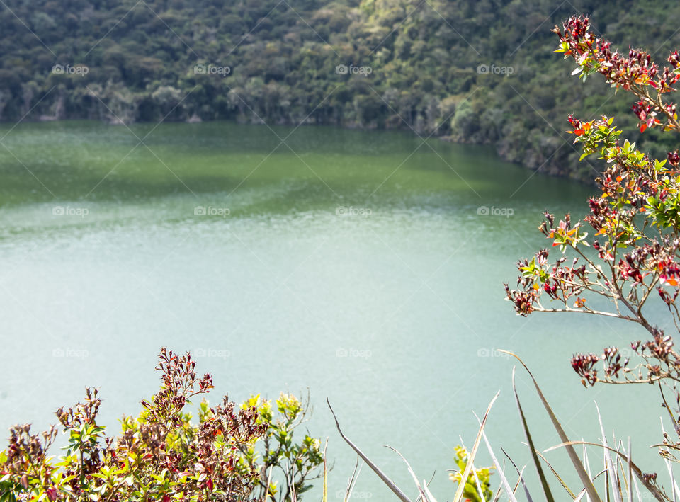 A beautiful lagoon 