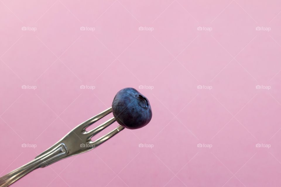One blueberry on a fork with pink background 