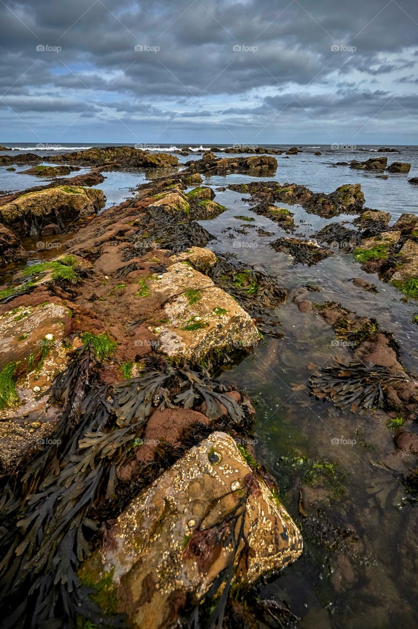 Scenic view of rock pools