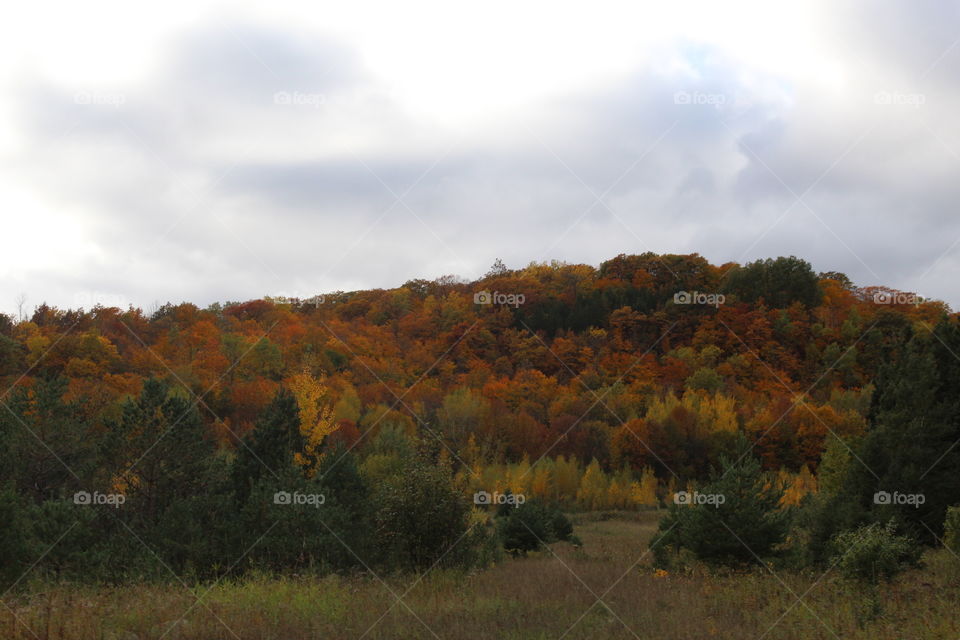 Upper peninsula Michigan Fall Colors